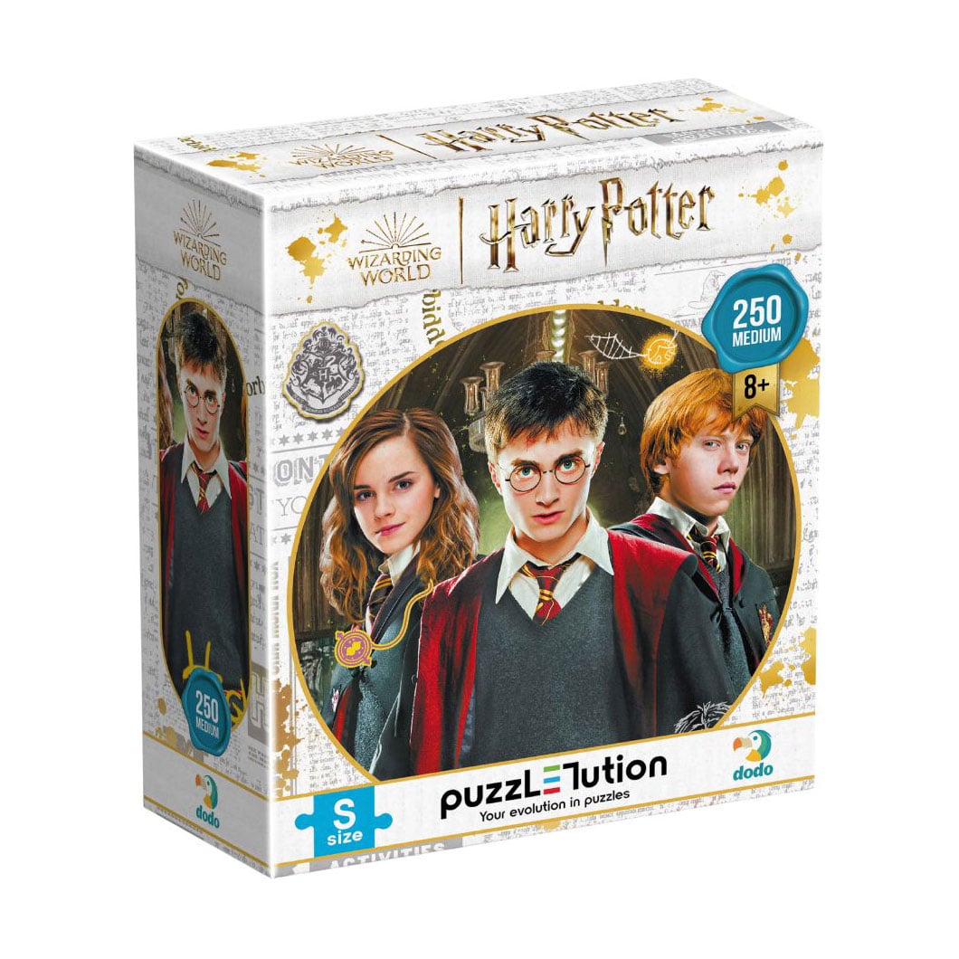 Пазл DoDo Harry Potter. Гаррі та друзі, від 8 років, 250 елементів, 32*23 см (200498)